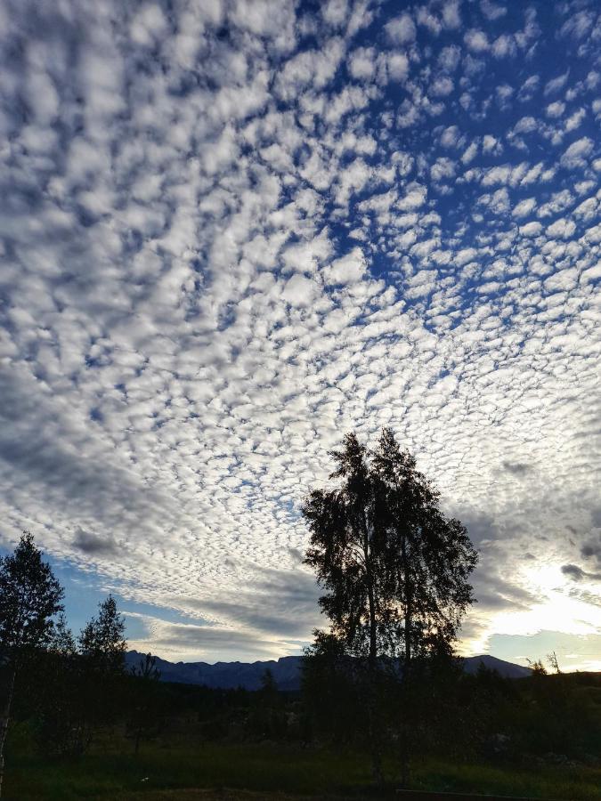 Villa Breza Žabljak Exteriér fotografie