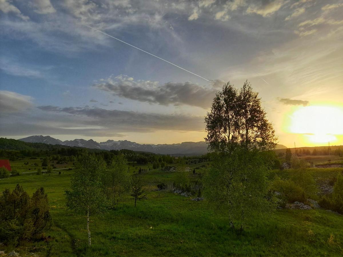 Villa Breza Žabljak Exteriér fotografie