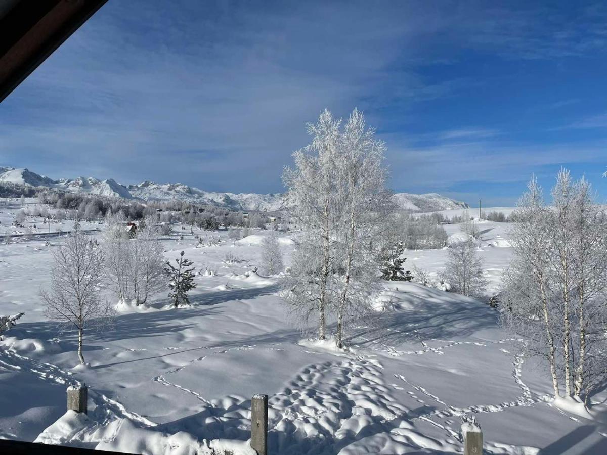 Villa Breza Žabljak Exteriér fotografie